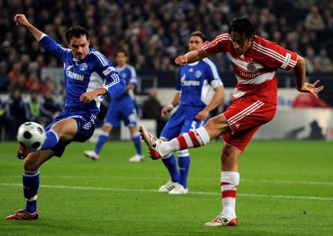 了球迷的不 了球迷的不